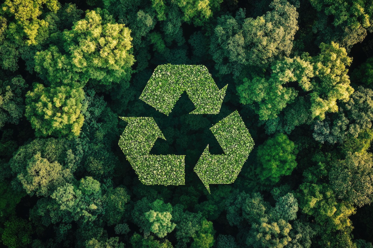 6 – MODUL DEZVOLTAREA DE SOLUȚII SUSTENABILE